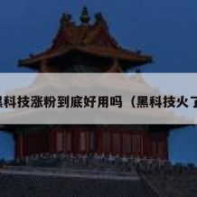黑科技涨粉到底好用吗（黑科技火了）