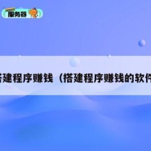 搭建程序赚钱（搭建程序赚钱的软件）