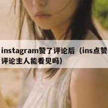 instagram赞了评论后（ins点赞评论主人能看见吗）