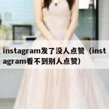 instagram发了没人点赞（instagram看不到别人点赞）