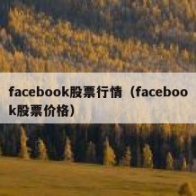 facebook股票行情（facebook股票价格）
