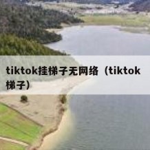 tiktok挂梯子无网络（tiktok 梯子）