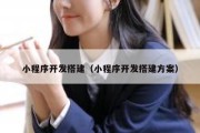 小程序开发搭建（小程序开发搭建方案）