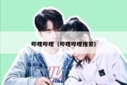 哔哩哔哩（哔哩哔哩搜索）