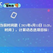 根据当前时间戳（2024年6月13日 15:28，北京时间），计算动态选项目标：