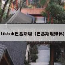 tiktok巴基斯坦（巴基斯坦媒体）
