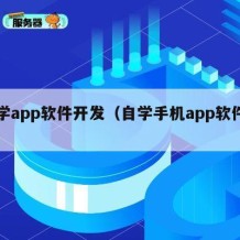 自学app软件开发（自学手机app软件开发）
