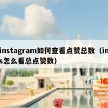 instagram如何查看点赞总数（ins怎么看总点赞数）