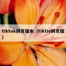 tiktok网页版本（tiktio网页版）