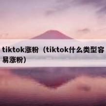 tiktok涨粉（tiktok什么类型容易涨粉）