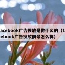 facebook广告投放是做什么的（facebook广告投放前景怎么样）