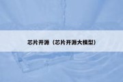 芯片开源（芯片开源大模型）