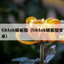 tiktok破解版（tiktok破解版安卓）
