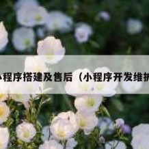 小程序搭建及售后（小程序开发维护）