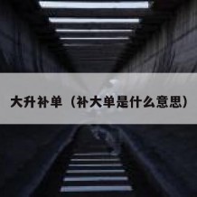 大升补单（补大单是什么意思）