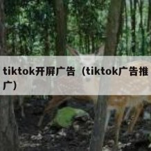 tiktok开屏广告（tiktok广告推广）