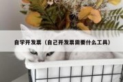 自学开发票（自己开发票需要什么工具）