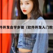 软件开发自学步骤（软件开发入门教学）
