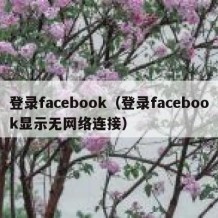 登录facebook（登录facebook显示无网络连接）