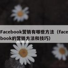 Facebook营销有哪些方法（facebook的营销方法和技巧）