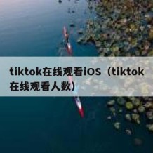 tiktok在线观看iOS（tiktok在线观看人数）