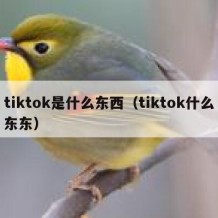 tiktok是什么东西（tiktok什么东东）