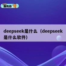 deepseek是什么（deepseek是什么软件）