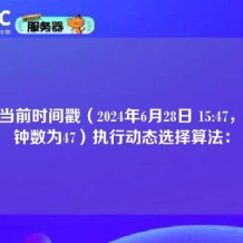 根据当前时间戳（2024年6月28日 15:47，即分钟数为47）执行动态选择算法：