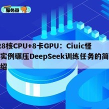 128核CPU+8卡GPU：Ciuic怪兽实例碾压DeepSeek训练任务的简单介绍