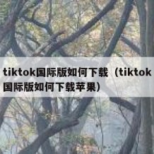 tiktok国际版如何下载（tiktok国际版如何下载苹果）