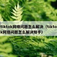 tiktok网络问题怎么解决（tiktok网络问题怎么解决知乎）