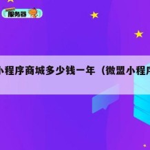 微盟小程序商城多少钱一年（微盟小程序价格表）