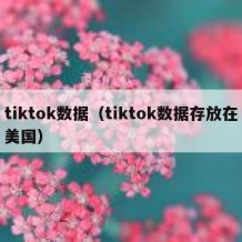 tiktok数据（tiktok数据存放在美国）