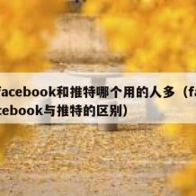 facebook和推特哪个用的人多（facebook与推特的区别）