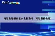 网站主题模板怎么上传宝塔（网站制作主题）