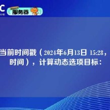 根据当前时间戳（2024年6月13日 15:28，北京时间），计算动态选项目标：