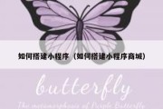 如何搭建小程序（如何搭建小程序商城）