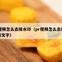 pr视频怎么去除水印（pr视频怎么去除水印和文字）