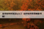 自学软件开发怎么入门（自学软件开发哪些书籍）