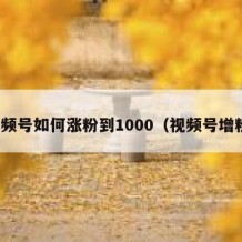 视频号如何涨粉到1000（视频号增粉）