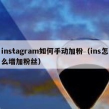 instagram如何手动加粉（ins怎么增加粉丝）