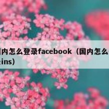 国内怎么登录facebook（国内怎么登录ins）