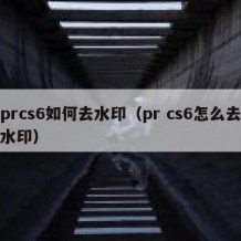 prcs6如何去水印（pr cs6怎么去水印）