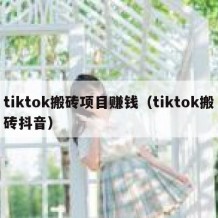 tiktok搬砖项目赚钱（tiktok搬砖抖音）
