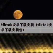 tiktok安卓下载安装（tiktok安卓下载安装包）