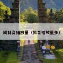 刷抖音播放量（抖音播放量多）