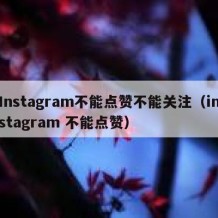 Instagram不能点赞不能关注（instagram 不能点赞）