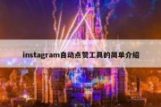 instagram自动点赞工具的简单介绍