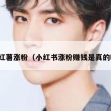 小红薯涨粉（小红书涨粉赚钱是真的吗）