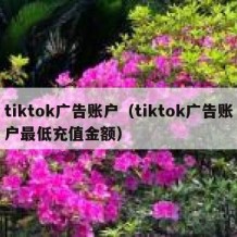 tiktok广告账户（tiktok广告账户最低充值金额）